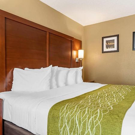 Comfort Inn Msp Airport - Mall Of America Блумингтон Экстерьер фото