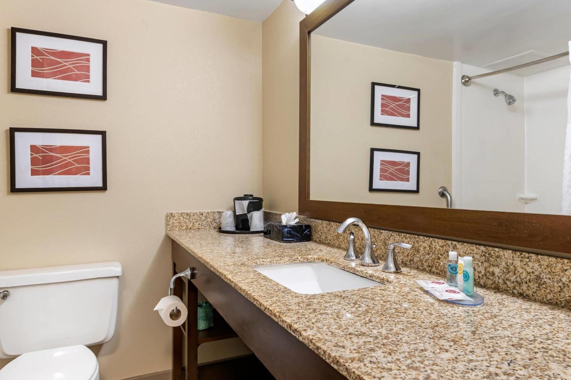 Comfort Inn Msp Airport - Mall Of America Блумингтон Экстерьер фото