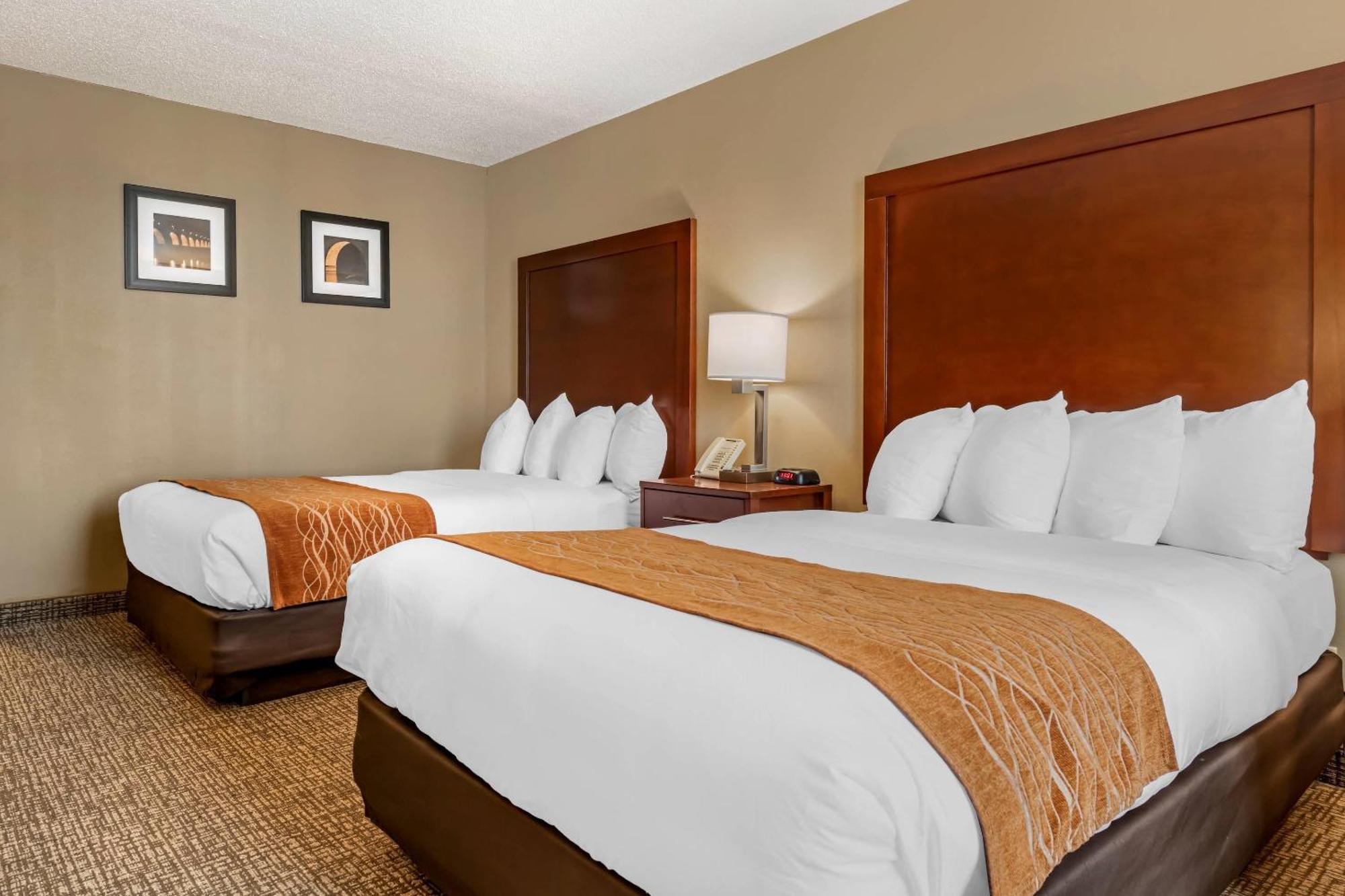 Comfort Inn Msp Airport - Mall Of America Блумингтон Экстерьер фото