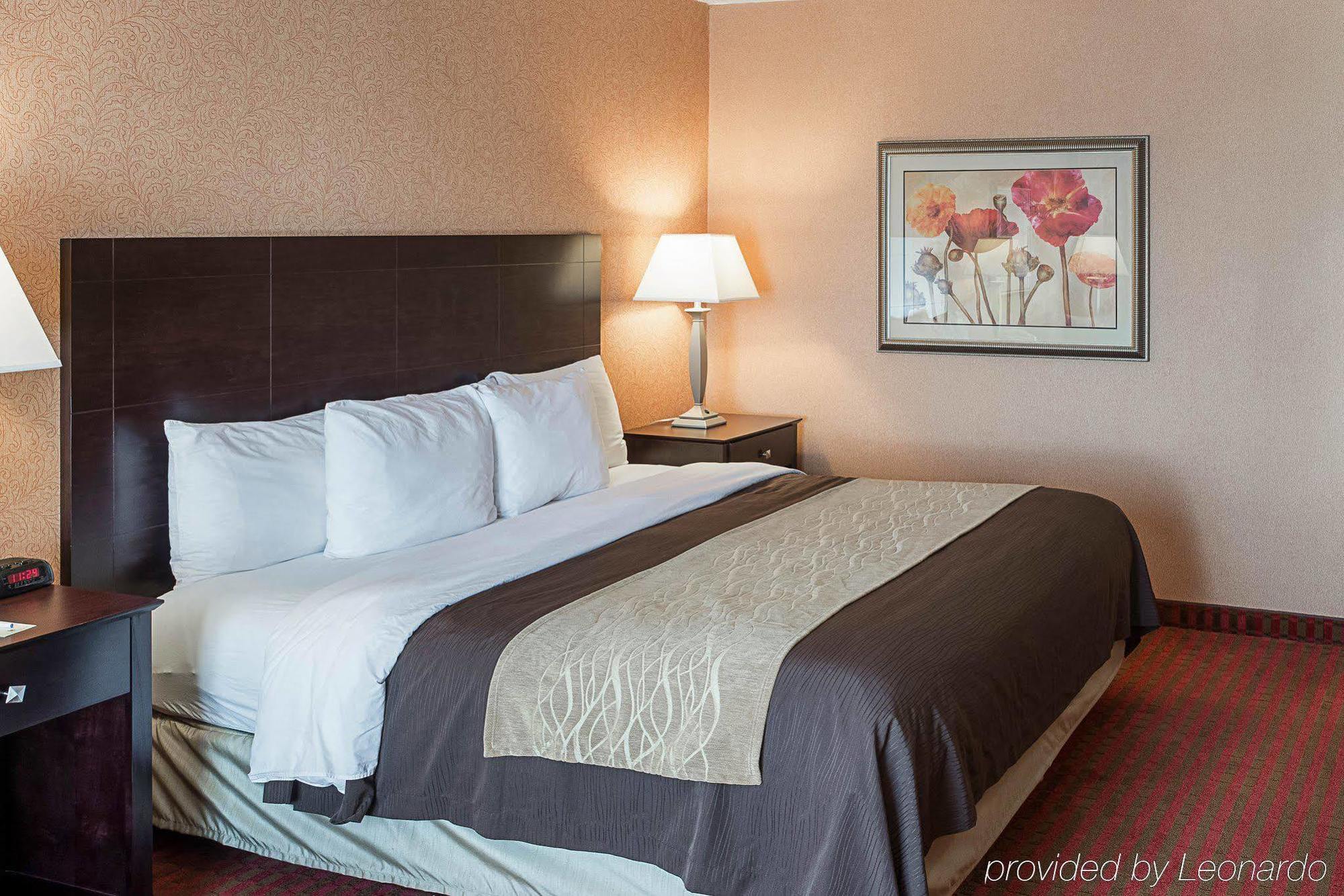 Comfort Inn Msp Airport - Mall Of America Блумингтон Экстерьер фото