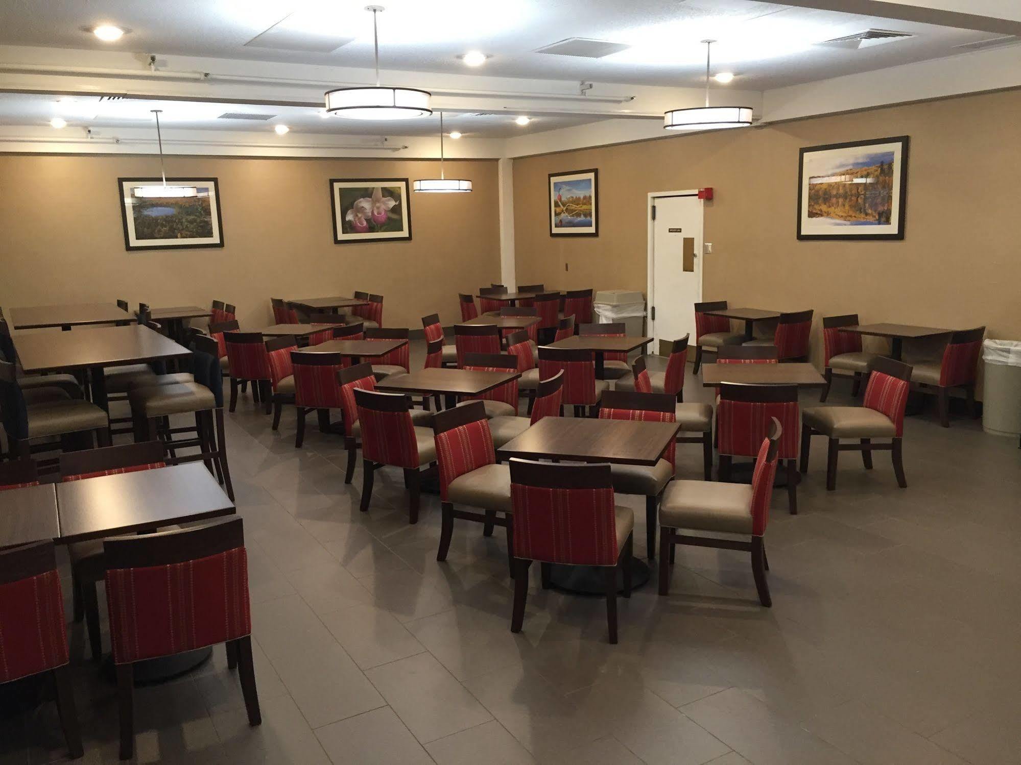 Comfort Inn Msp Airport - Mall Of America Блумингтон Экстерьер фото